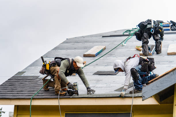 Professional Roofing technician working in Harpster, OH